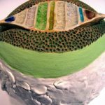 Milica Kalinić Bočvarov, torte, keramika