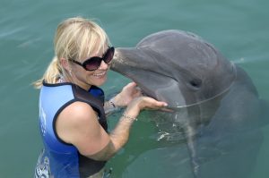 Delfin