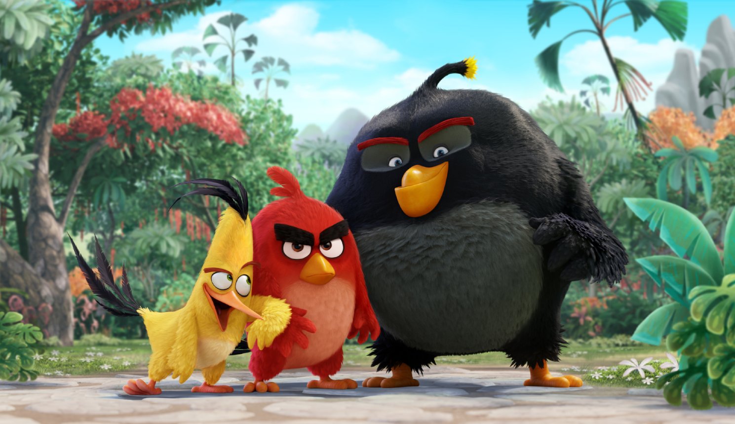 Angry birds