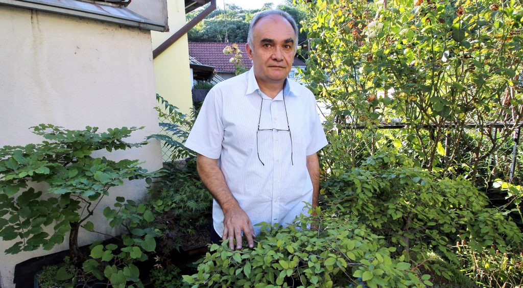 Tomislav Unkašević, Bonsai