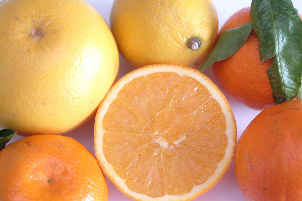 Citrusi