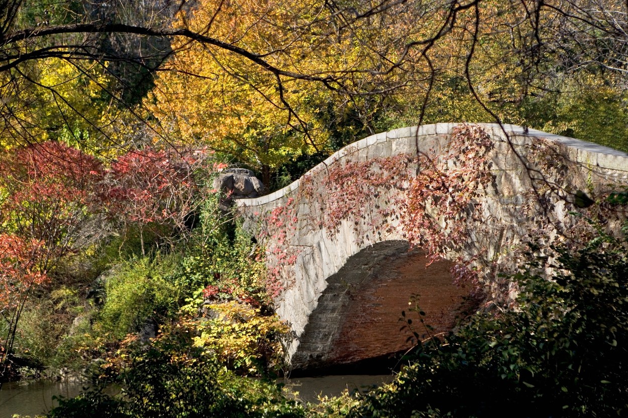 Central Park