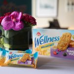 Wellness obrok
