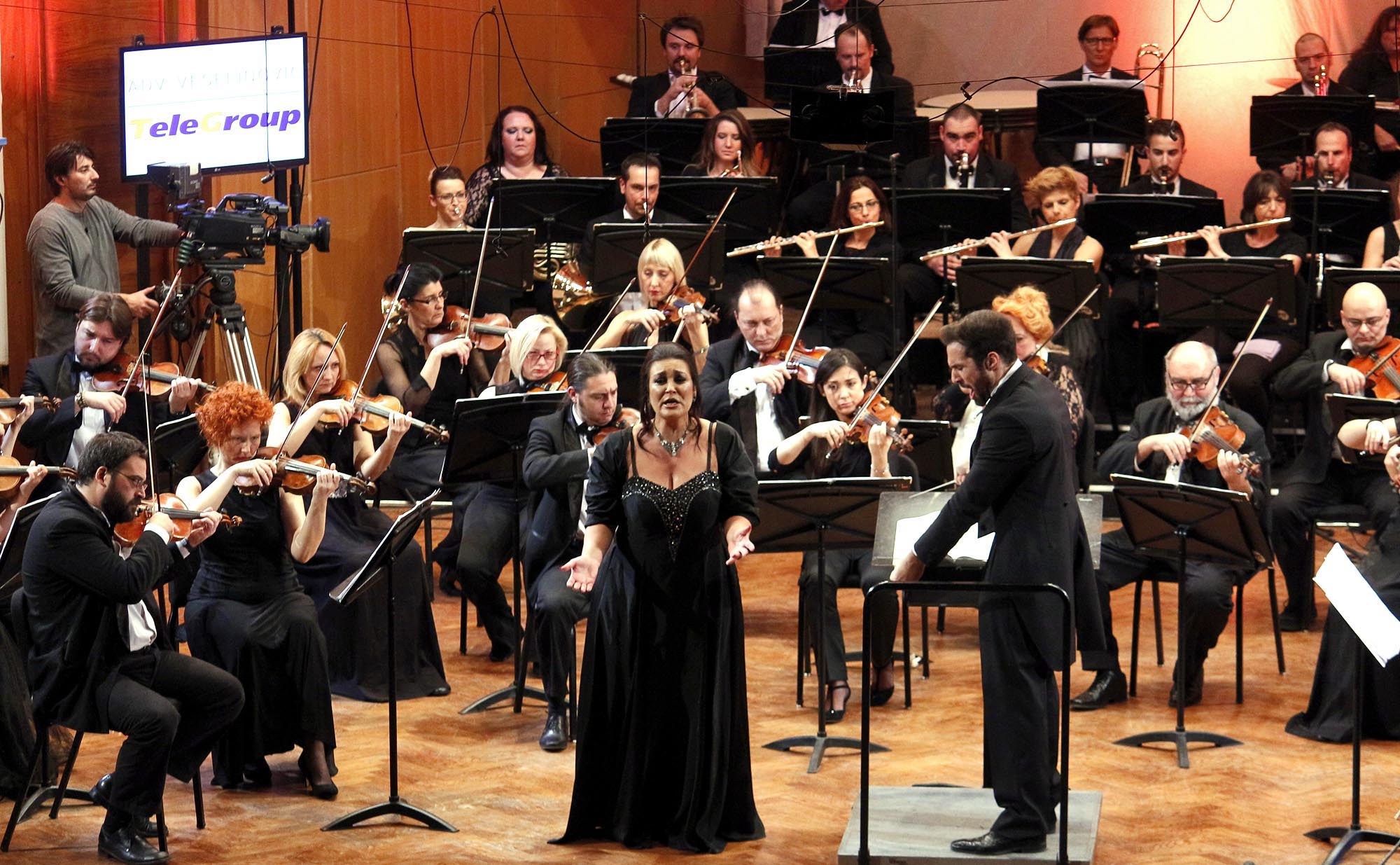 Koncert, Kolarac