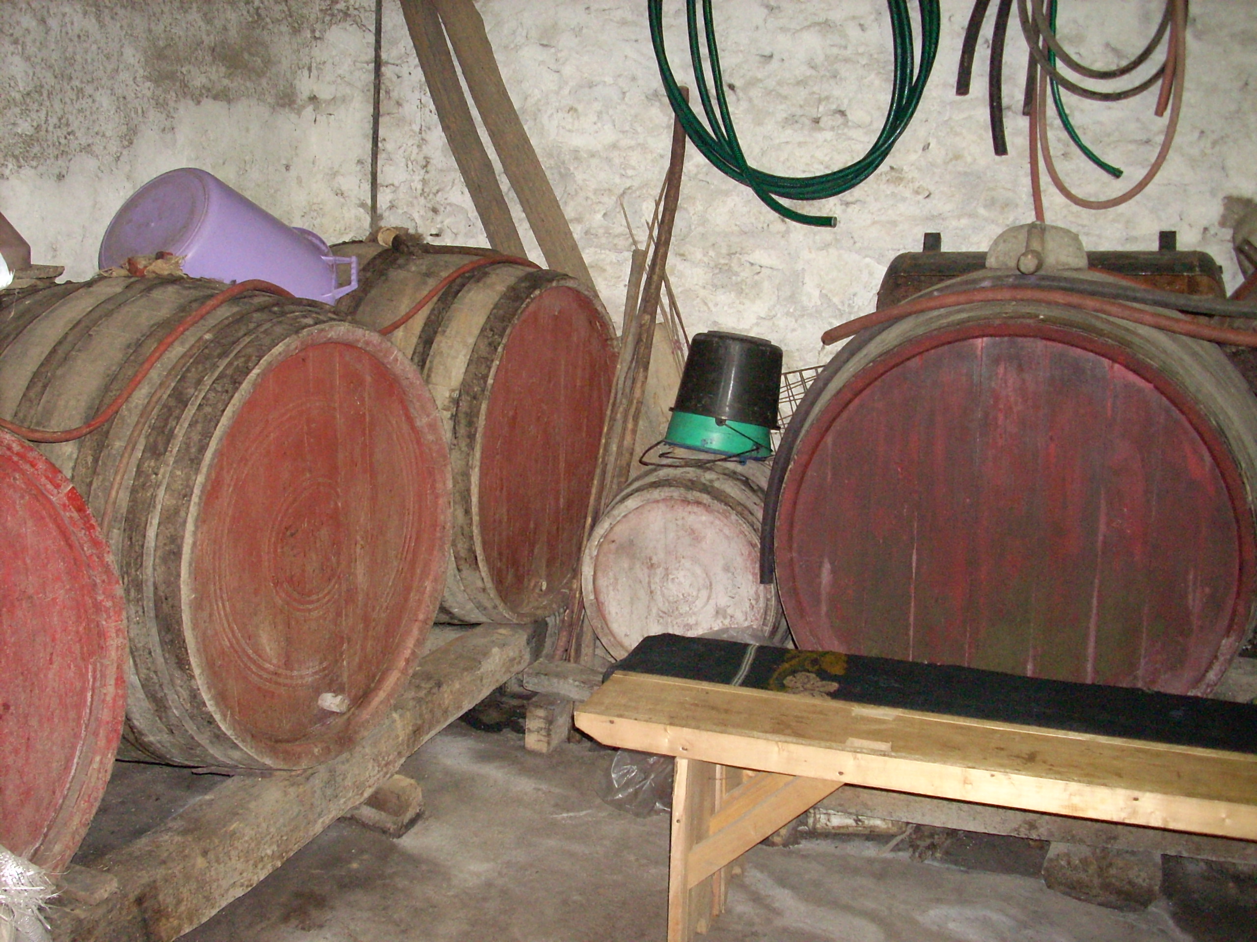 Rajačke pimnice