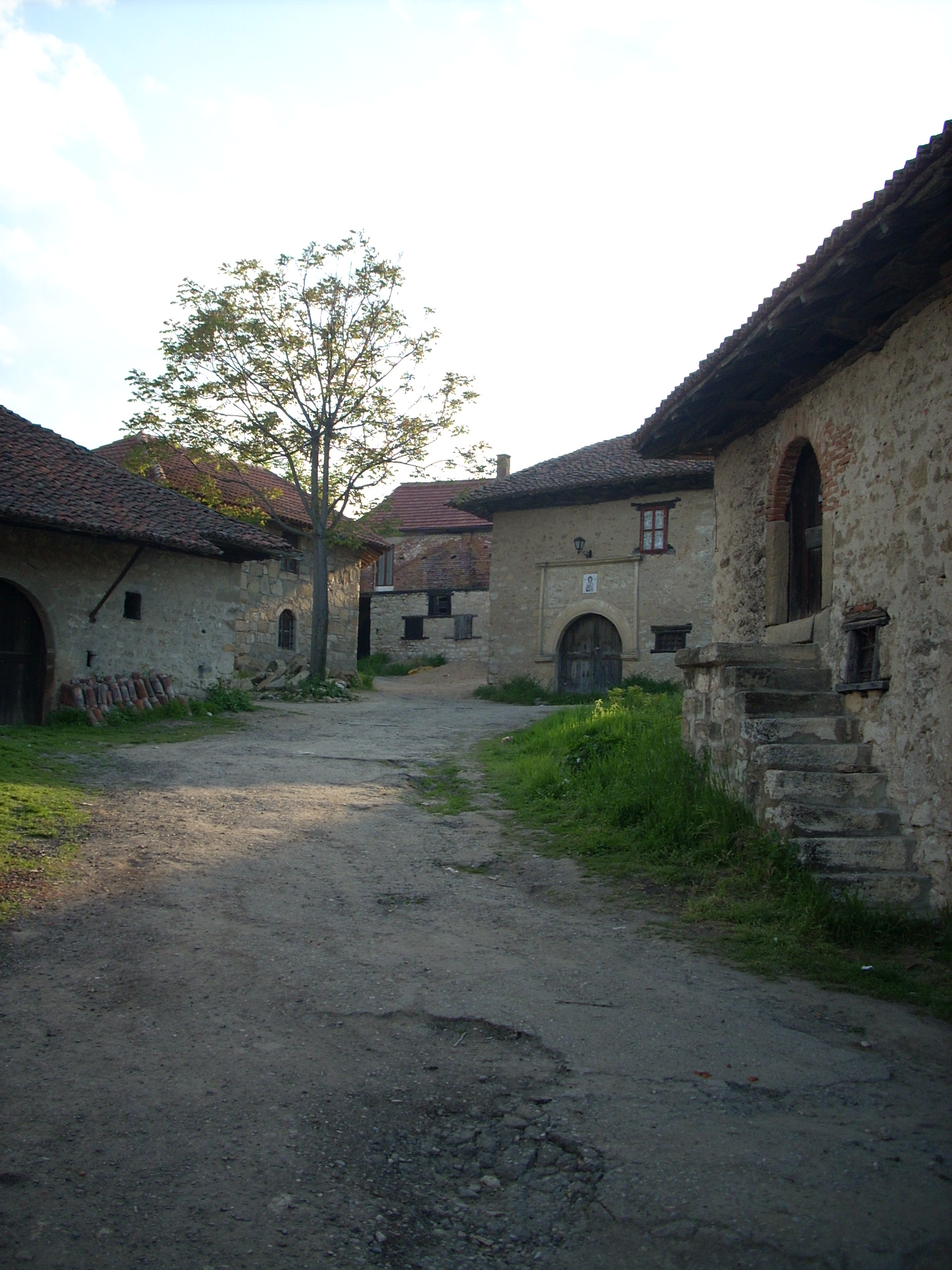 Rajačke pimnice