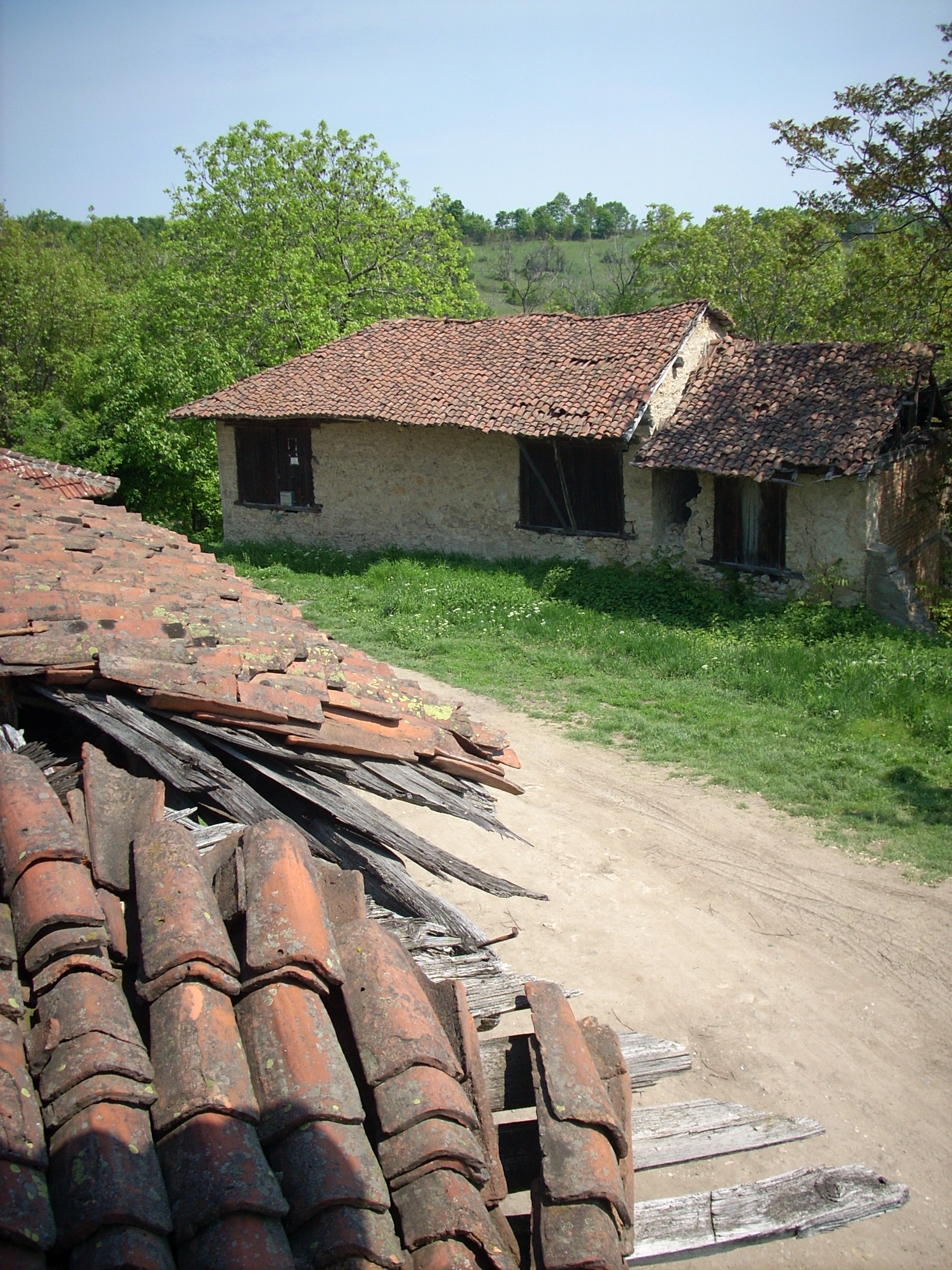 Rajačke pimnice