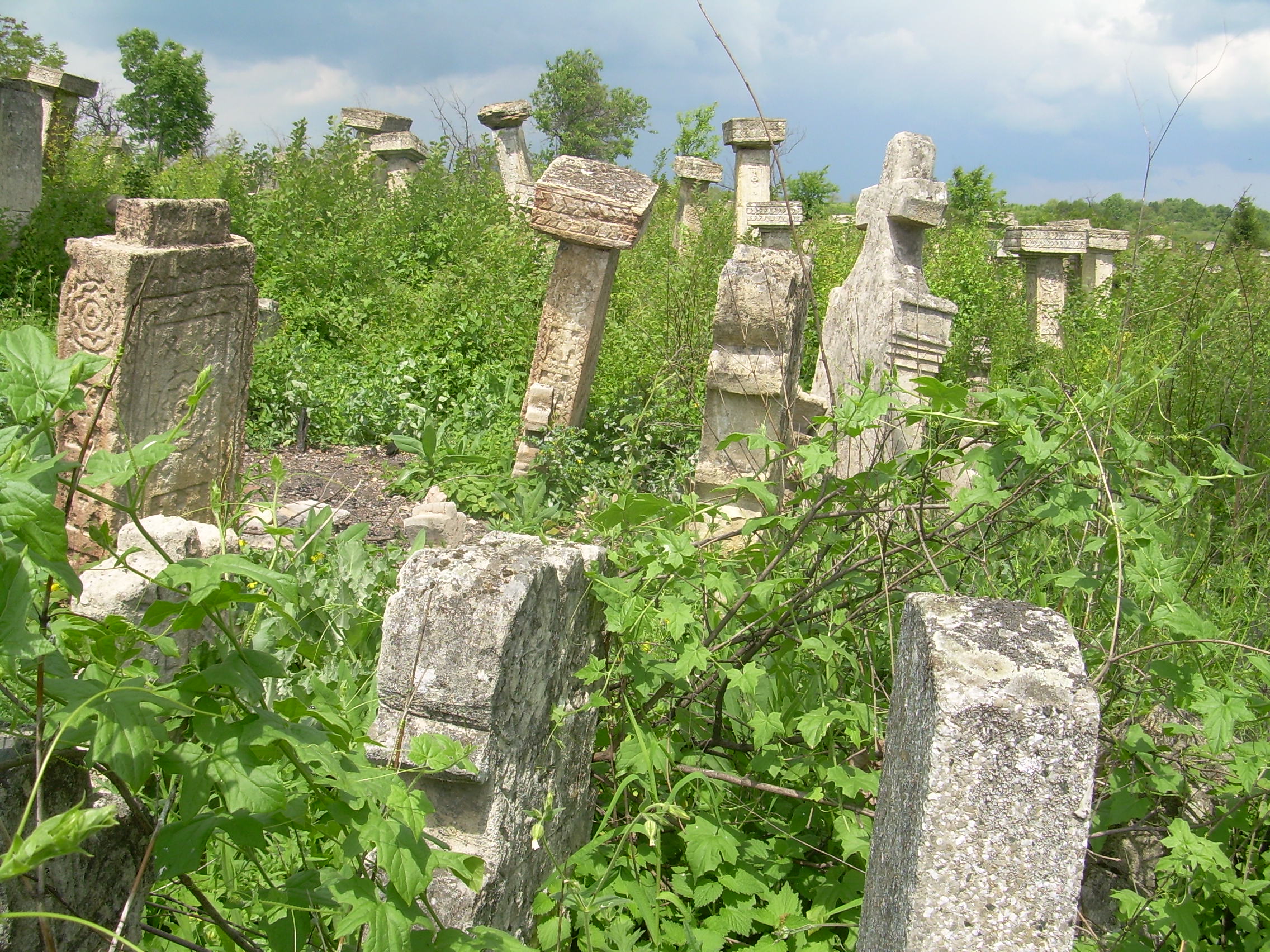 Rajačke pimnice