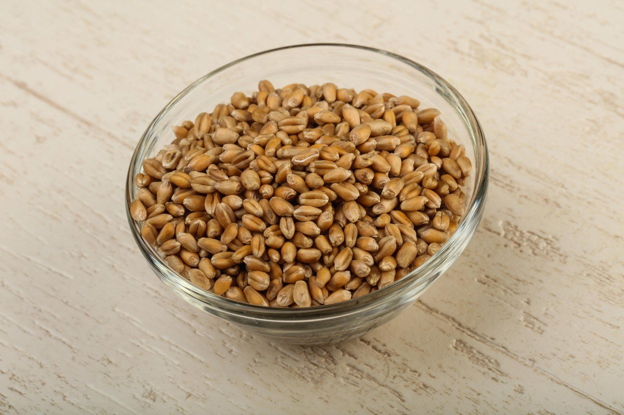 Pšenica, gluten