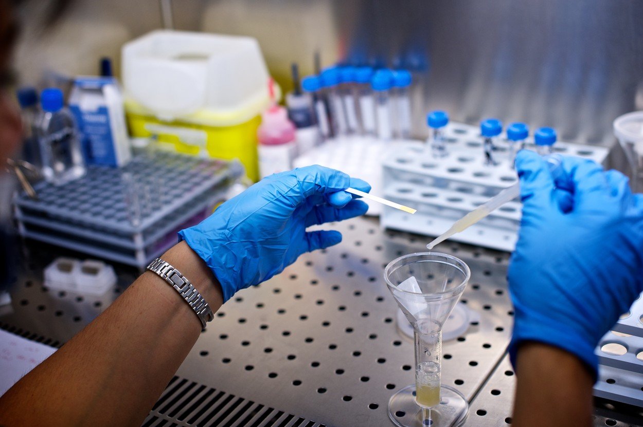 Vantelesna oplodnja, laboratorija