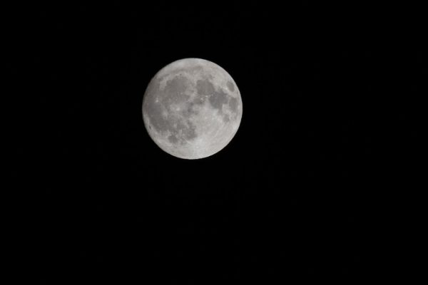 The moon