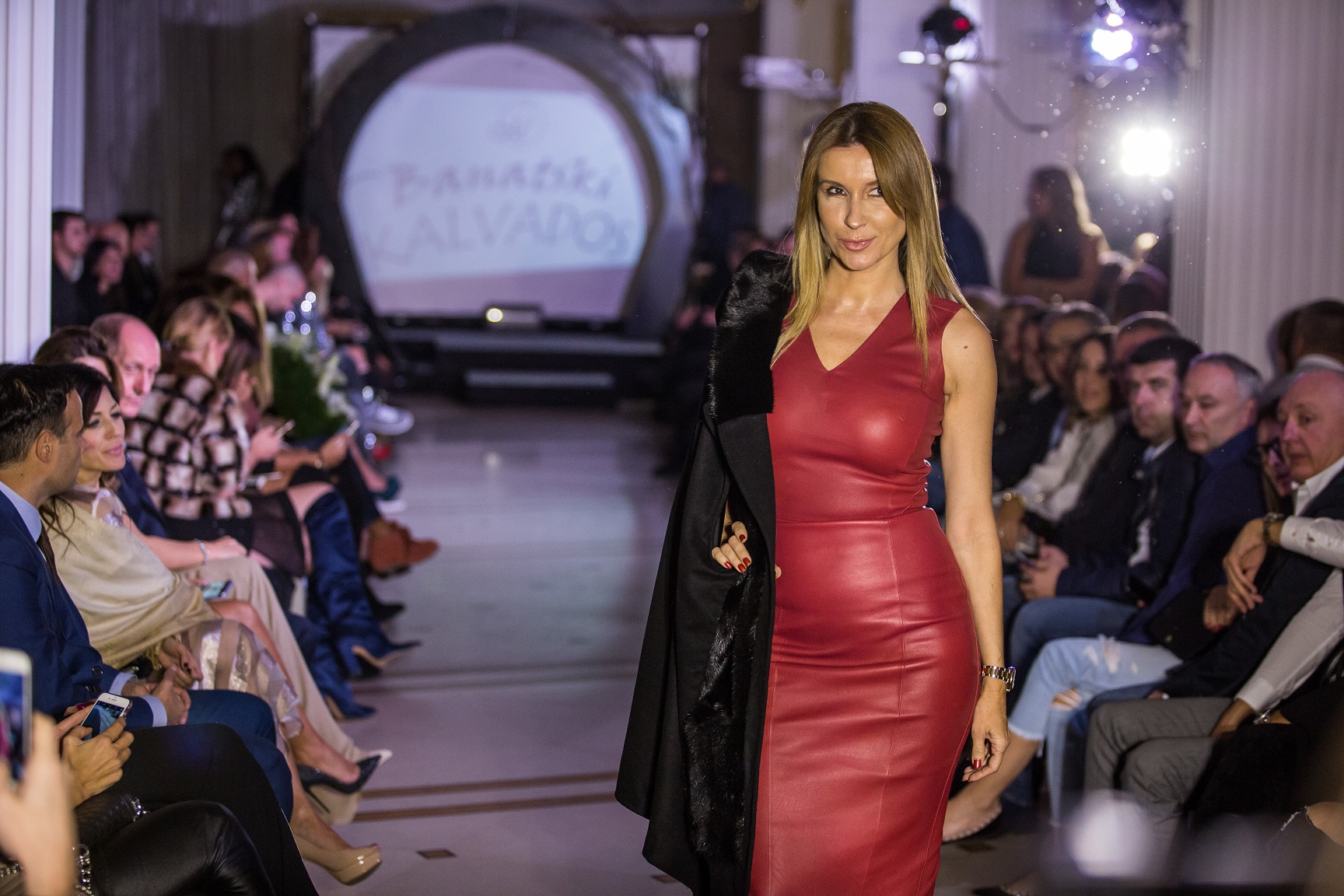 Revija Saše Milojkovića
