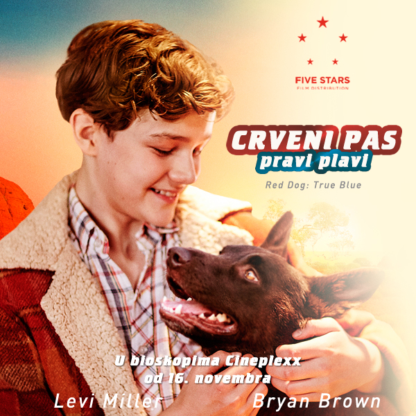 Crveni pas