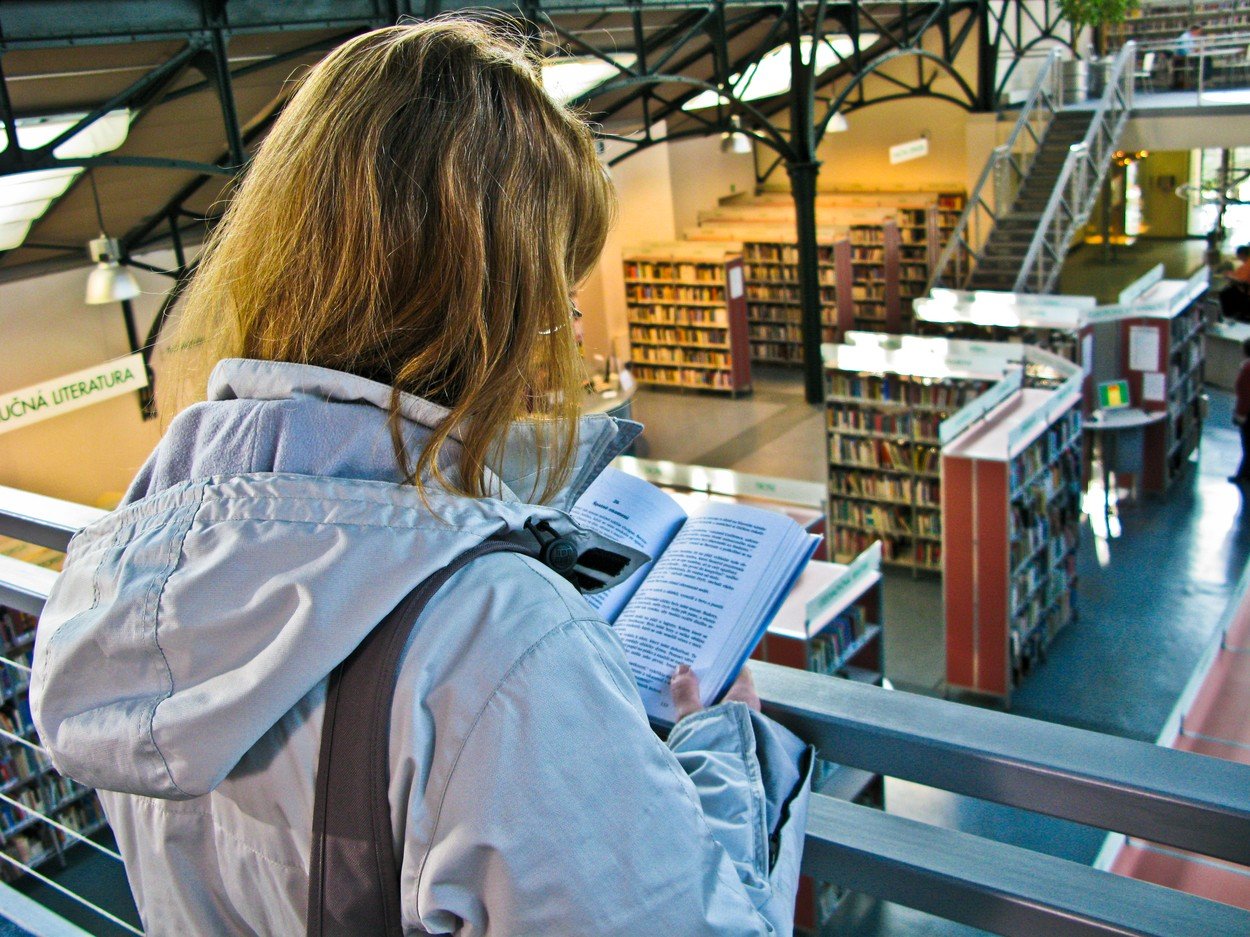 Biblioteka