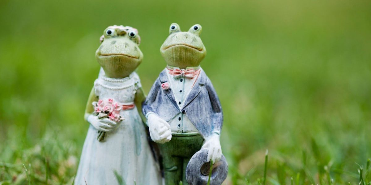 venčanje, par, ljubav, svadba, princ