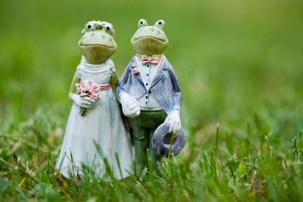 venčanje, par, ljubav, svadba, princ