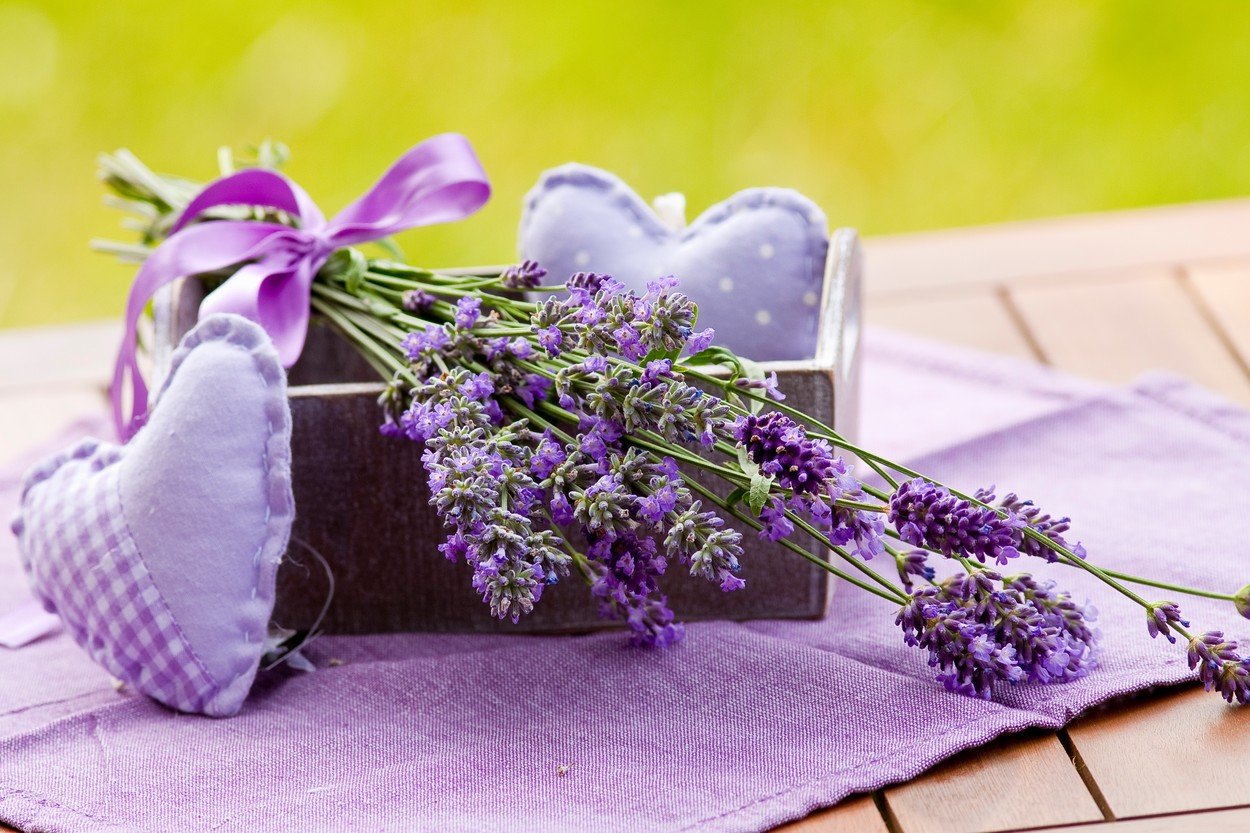 lavanda