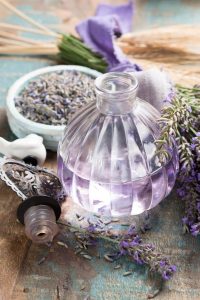 lavanda