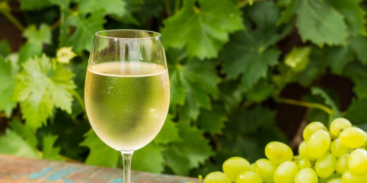 belo vino, grožđe