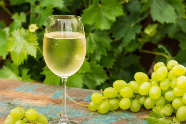 belo vino, grožđe