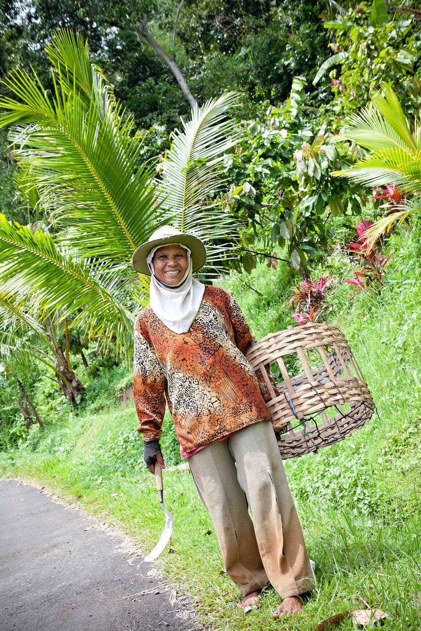 Bali, putovanja