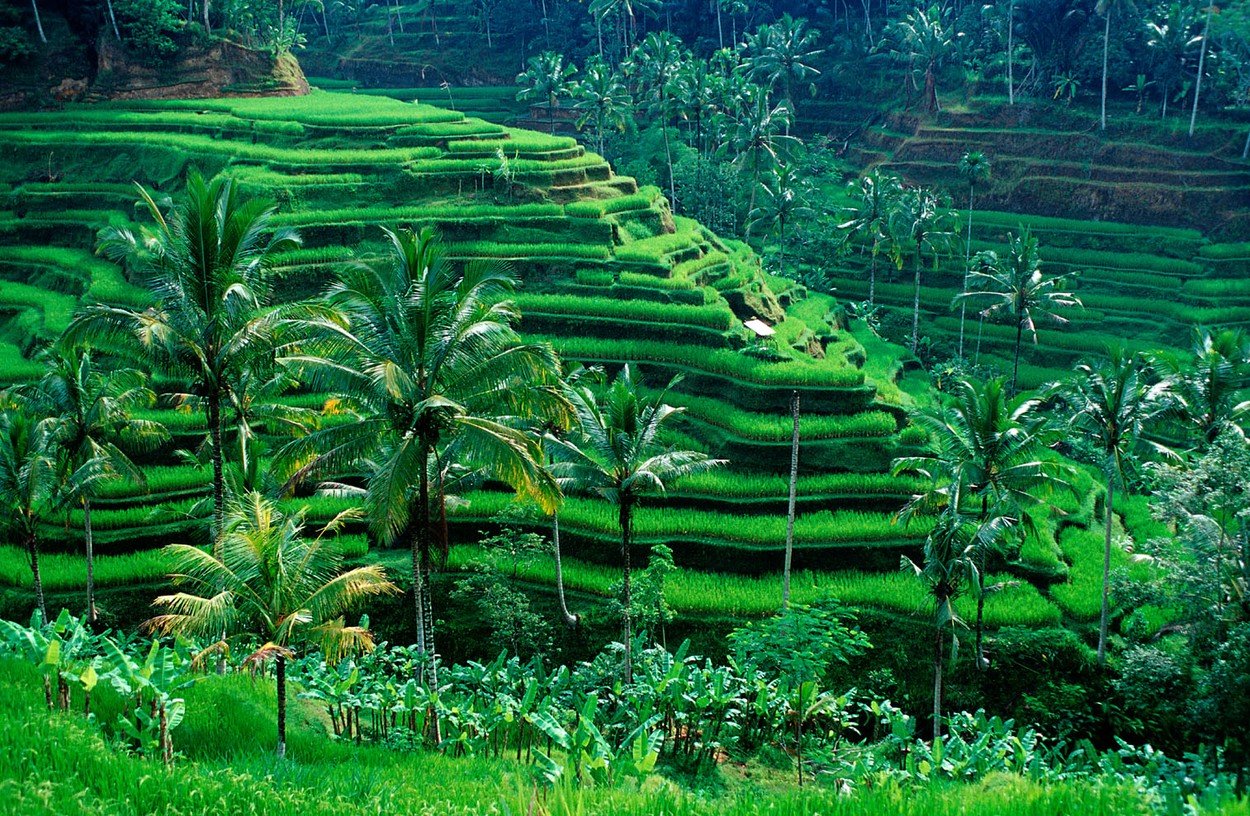 Bali, putovanja