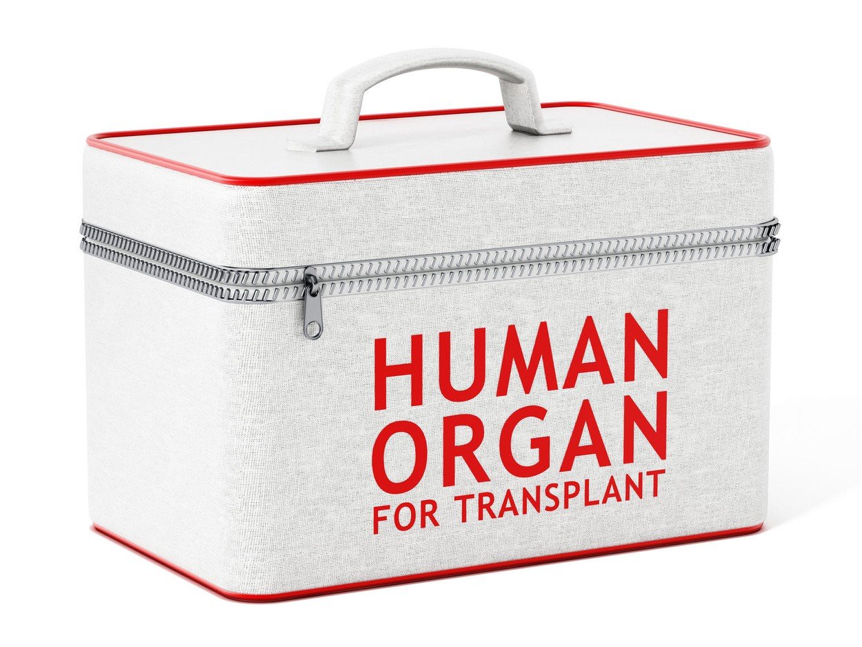 Donor organa