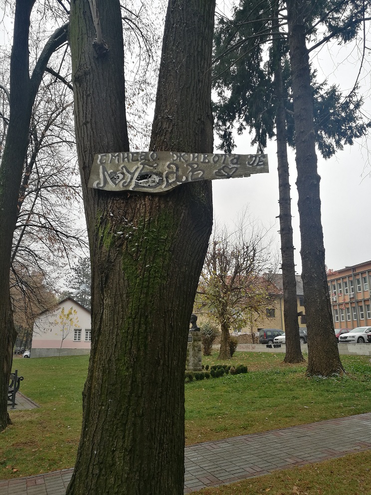 Ivanjica, svadba, zoki