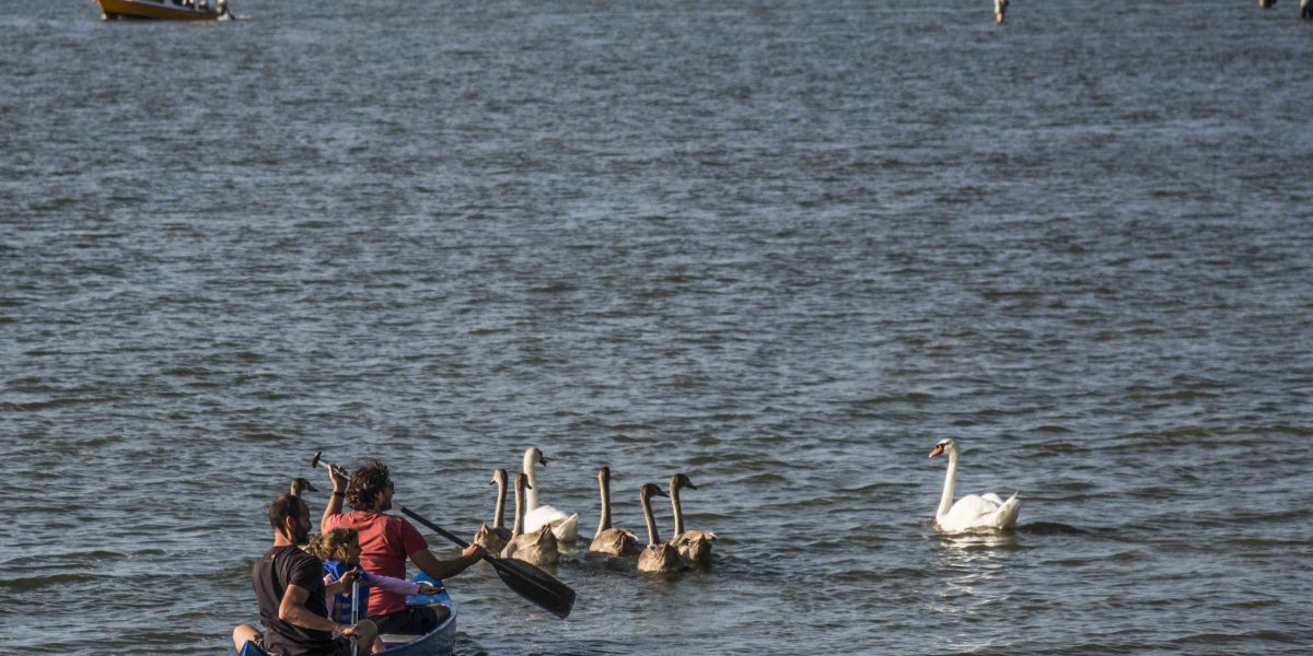 Udruženje "prvi put sa ocem", Lido
