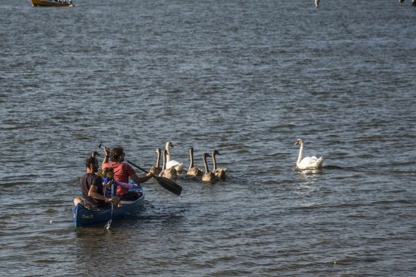 Udruženje "prvi put sa ocem", Lido