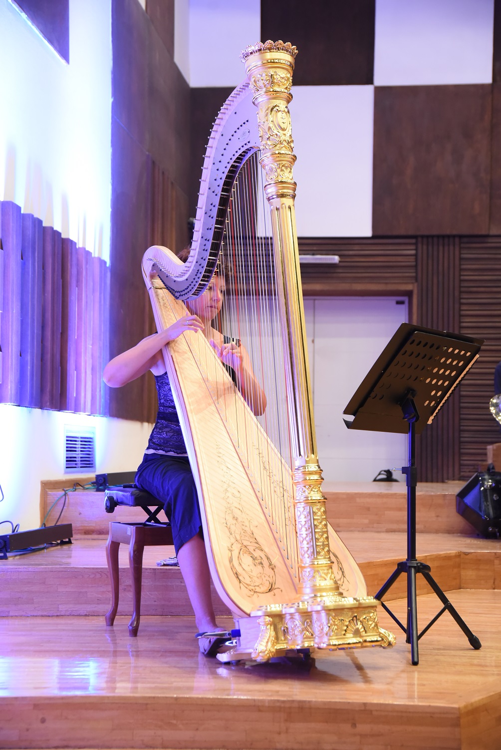 Beogradska filharmonija ,deca, bebe, koncert