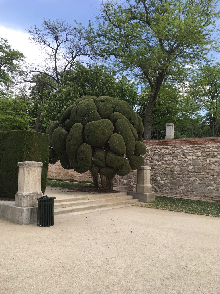 madrid,. putovanja, spanija, putujuci ranac