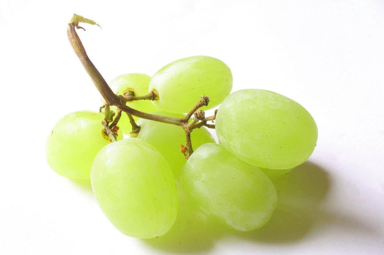 grožđe