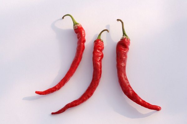 Ljuta paprika