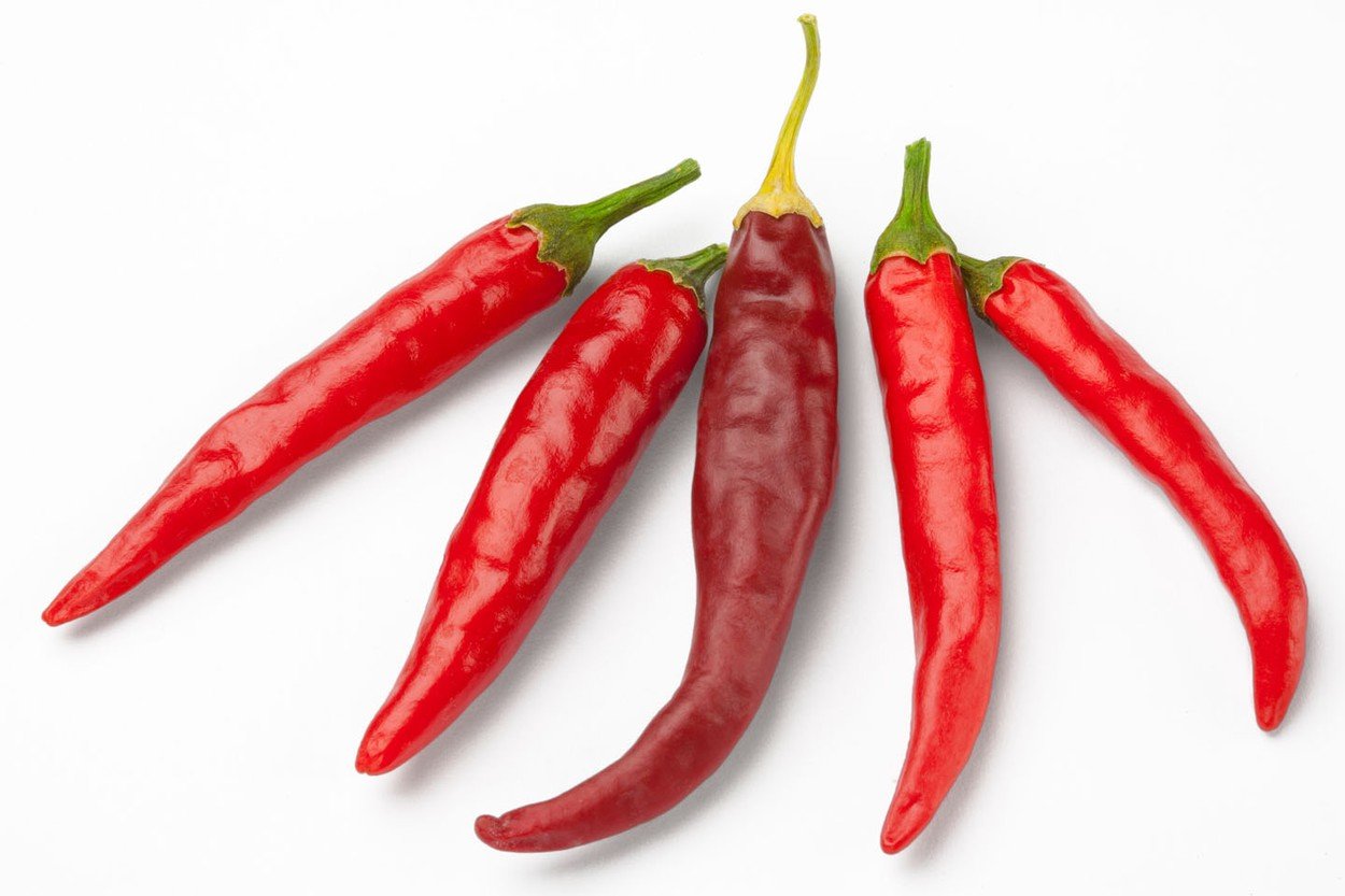 Ljuta paprika