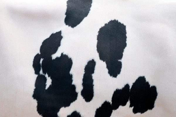 moda, kravlji print