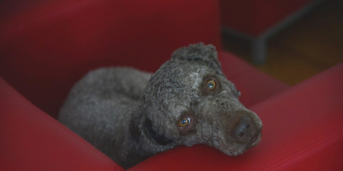 moko